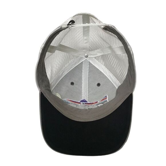 Patagonia Fitz Roy Trout mesh gray snapback baseball cap OS - Picture 7 of 10